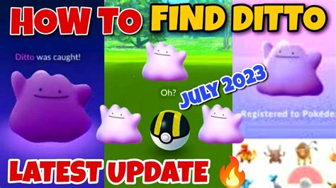 ditto fangen pokemon go|How to Catch Ditto in Pokémon Go: Current Ditto。